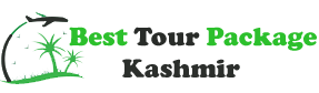 Best Travel Agent Kashmir